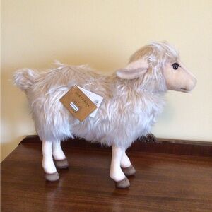 Hansa Sheep